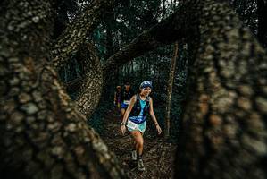 BIB: 
                            <button type="button" onclick="openModal(25675057)" class="btn btn-primary btn-sm float-right btn-popup" data-toggle="modal" data-target=".modal-high-quality">
                        <i class="fas fa-shopping-cart"></i> Add to Cart
                    </button>
                                            <button type="button" onclick="isThisMe(25675057, true)" class="btn btn-success btn-sm float-right btn-popup btn-isme hidden" data-toggle="tooltip" data-placement="bottom" title="นี่คือรูปของคุณใช่ไหม คลิกที่นี่เพื่อเอาเข้าอัลบั้ม">
                        <i class="fas fa-plus"></i> Add to album
                    </button>
                    <button type="button" onclick="isThisMe(25675057, false)" class="btn btn-warning btn-sm float-right btn-popup btn-isnotme hidden">
                        <i class="fas fa-ban"></i> Remove from album
                    </button>